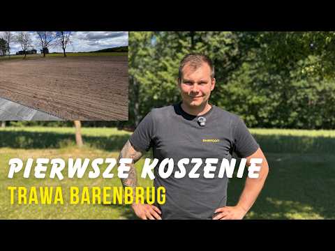PIERWSZE KOSZENIE TRAWNIKA! Czy było warto siać trawę samemu?