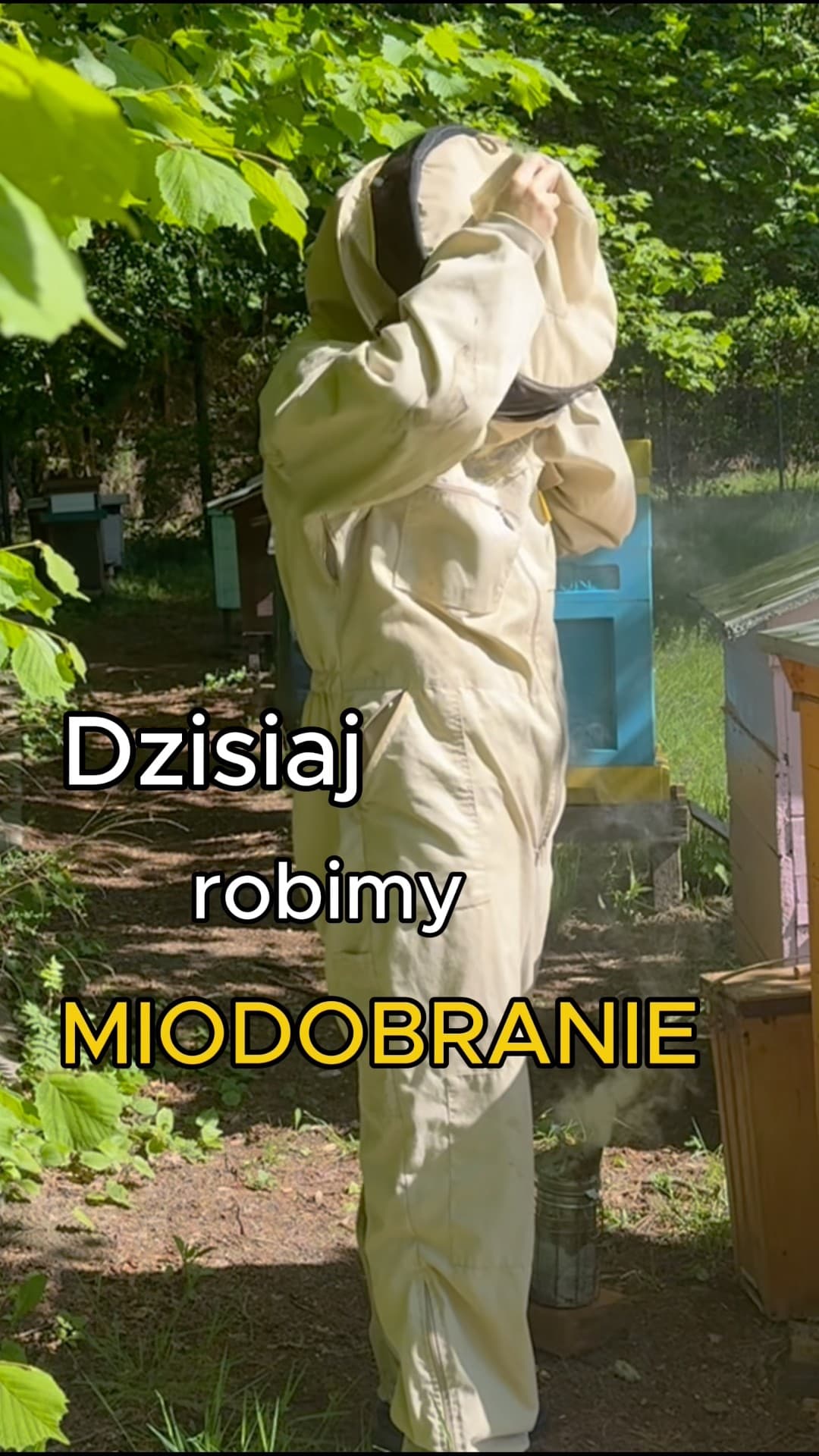 Jak wygląda miodobranie? Jak pozyskuje się miód?